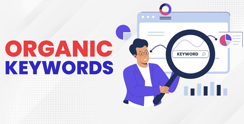 cách tăng Organic Keywords
