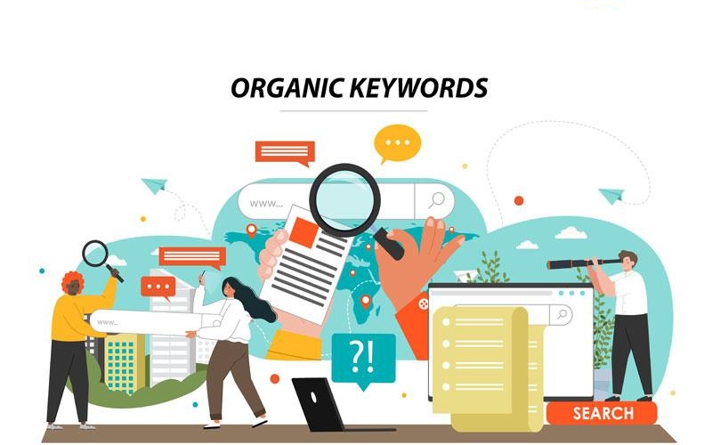 vai trò của Organic Keywords trong SEO