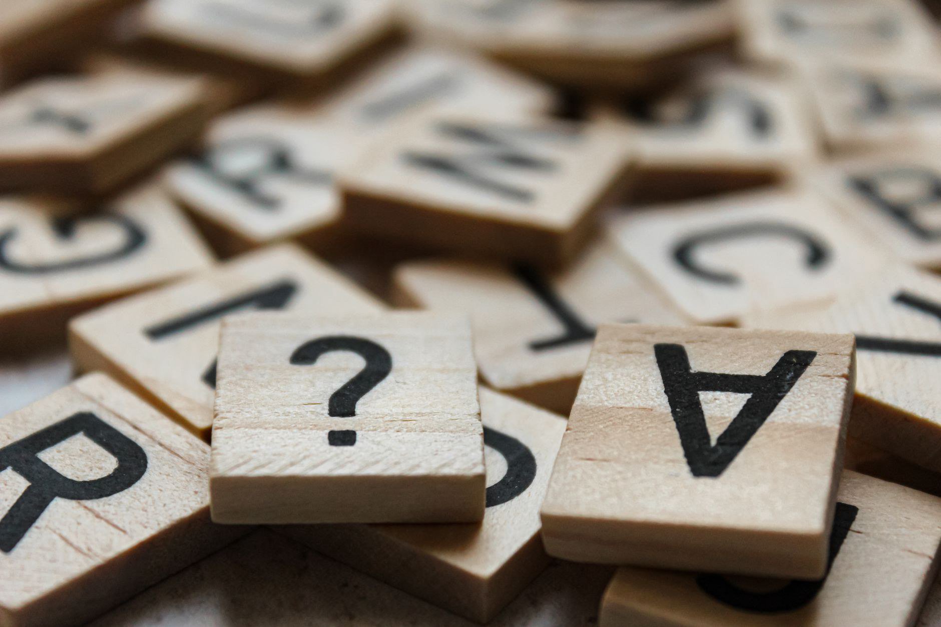 Câu hỏi 2: Theme miễn phí và theme trả phí khác nhau ở đâu